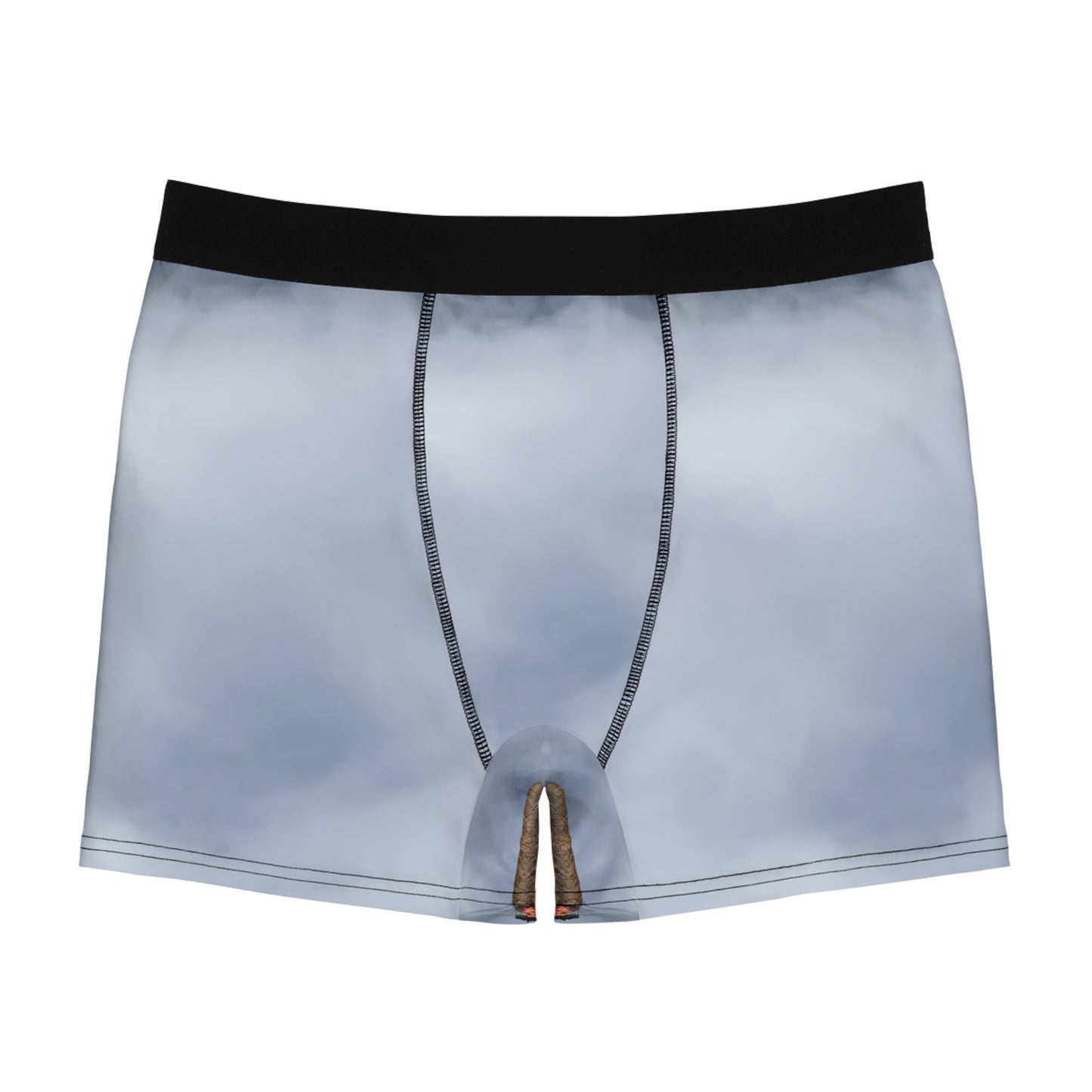 Men's Boxer Briefs (AOP)
