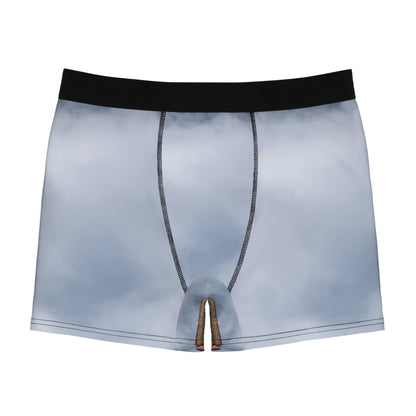 Men's Boxer Briefs (AOP)